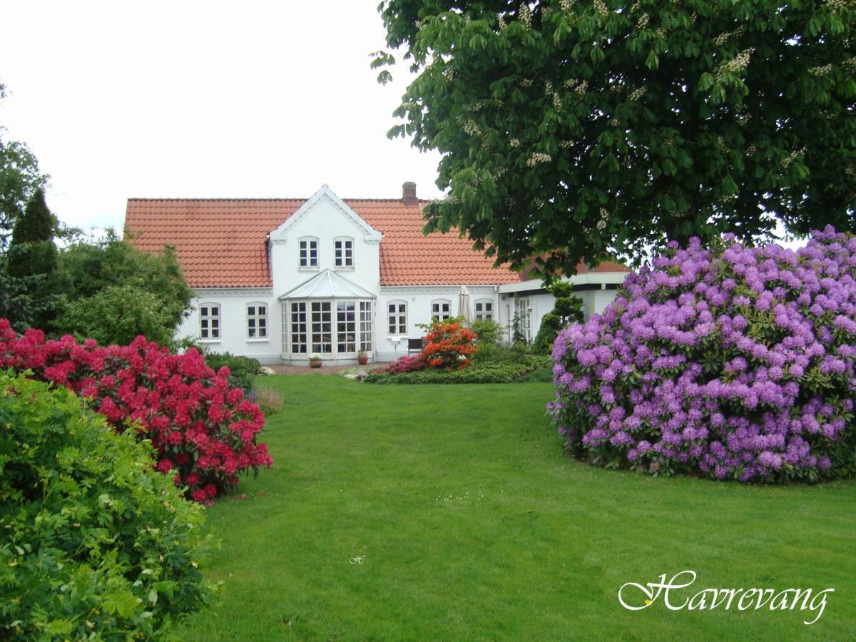 Havrevang *