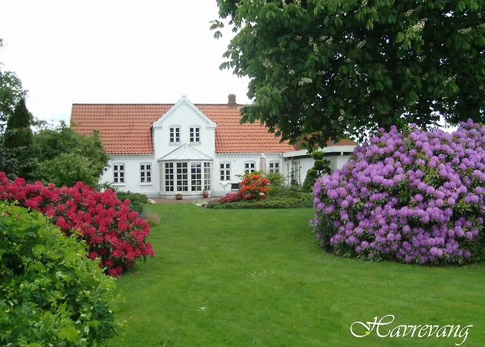 Havrevang